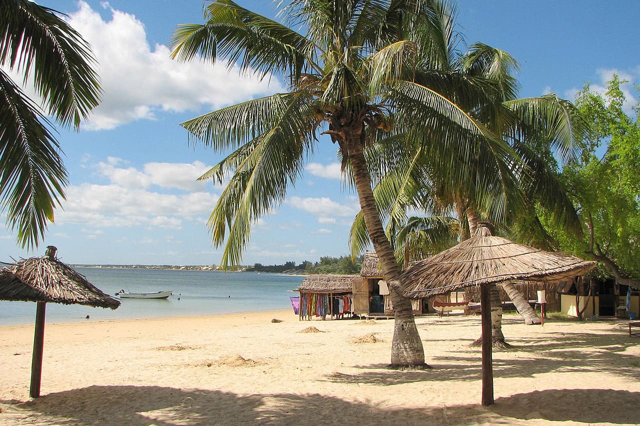 "File:Ifaty beach Madagascar.jpg" by Bernard Gagnon is marked with CC BY-SA 3.0. To view the terms, visit https://creativecommons.org/licenses/by-sa/3.0/?ref=openverse